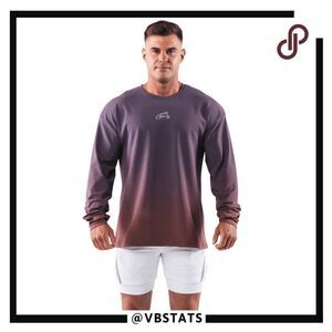 Alphalete Men's Wolf‎ Head Ombre Crew Neck Long Sleeve T-Shirt Purple Medium